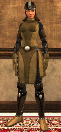 Rawhide Leather & Pontiff' Tier 1  Cuir  lvl 1