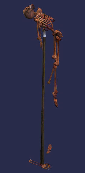 Squelette empal&eacute; Tier 7 Morbide   100SP 61